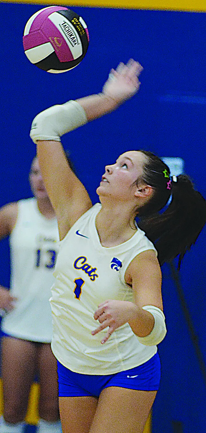 No. 1 Wildcat volleyball team in NCC sweep