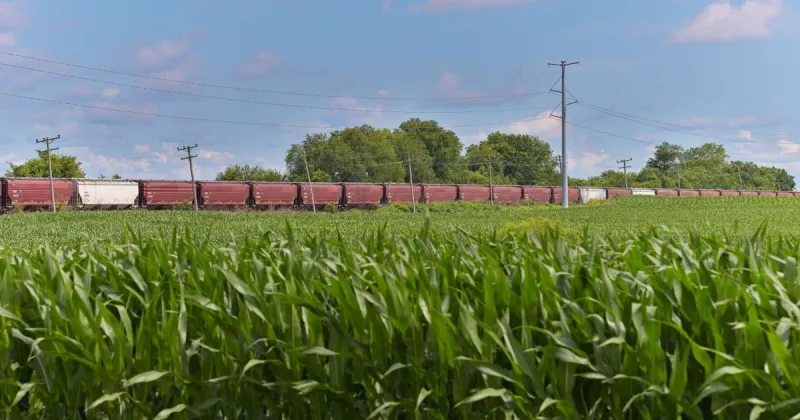 US rail fuel surcharges on grain hit record highs, squeezing farmers in harvest season