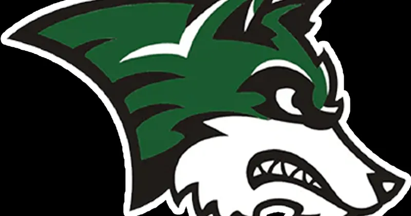 IKM-Manning volleyball building towards another postseason run