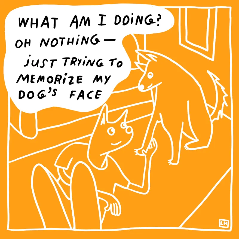 Momboy - September 2026