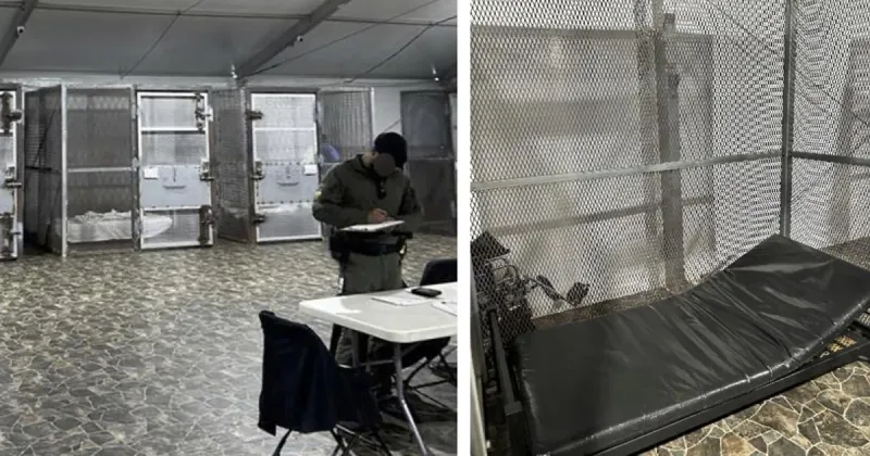 Detainees confined to small metal cages at Alligator Alcatraz, report finds