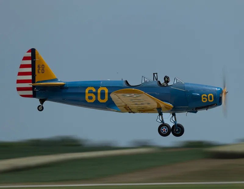 Having breakfast on a wing