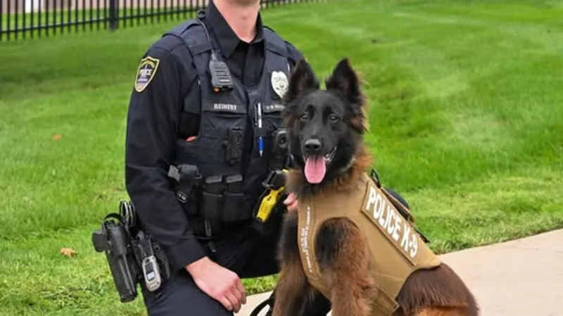 Cedar Rapids police K-9 Riggs receives bullet- and stab-resistant vest