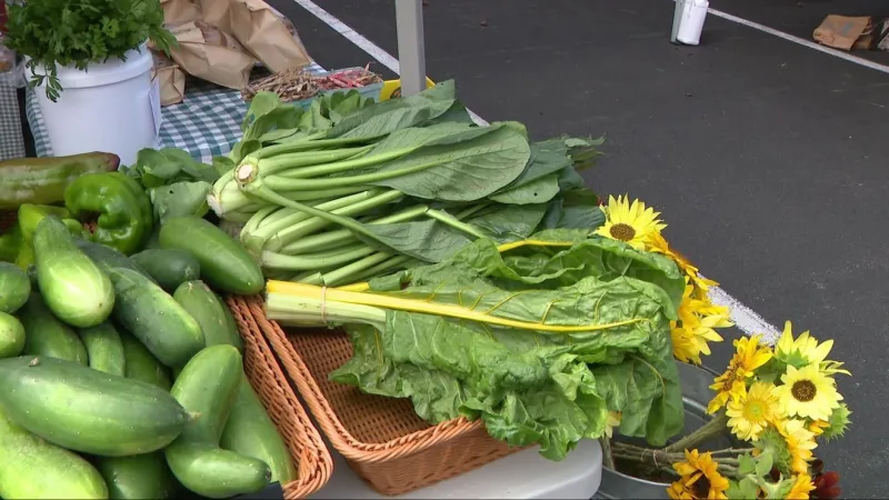 Iowa City Farmers Market Kids Market moves indoors Saturday