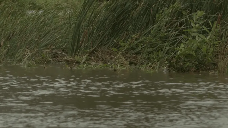 Iowans, business owner react to Sunday's flooding in Marion, Cedar Rapids