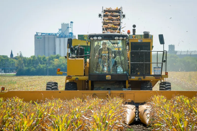 An increasing number of Iowa farms are owned by LLCs and trusts; 55% of Iowa farmland is owned by non-farmers