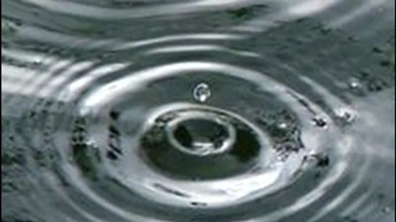 Heavy rain slows Iowa harvest as fields remain saturated