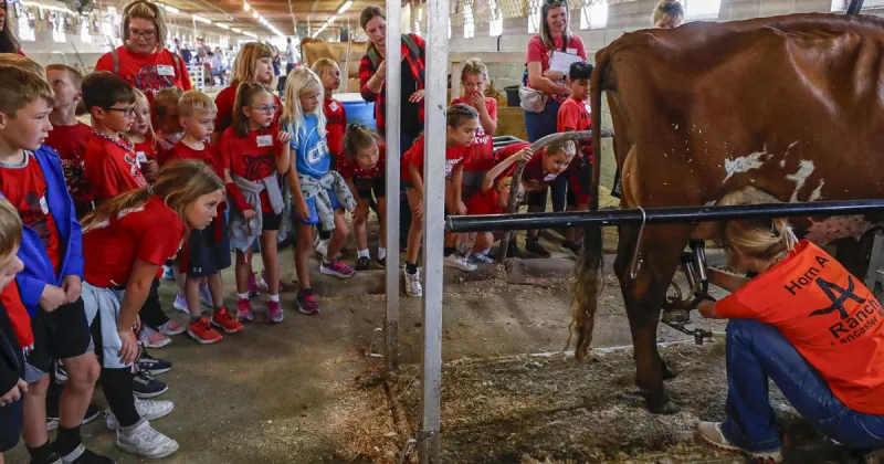 116th National Cattle Congress Fair begins Thursday with bull riding, country music