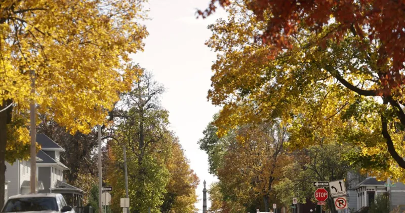 When will leaves change colors this fall in Illinois? Here's a look