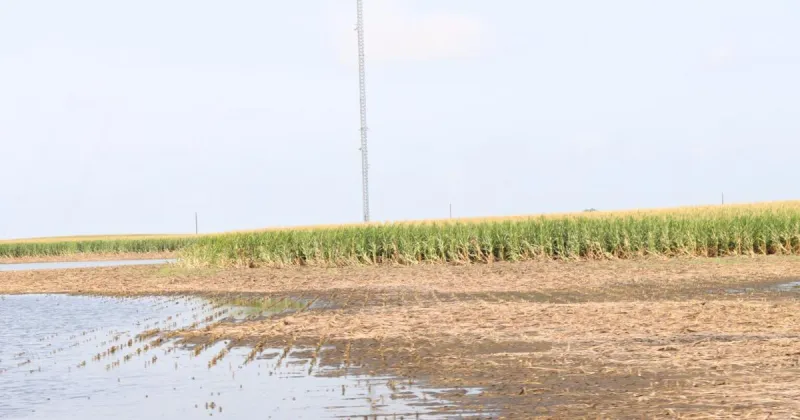 Iowa harvest behind schedule due to 'extremely soggy' conditions