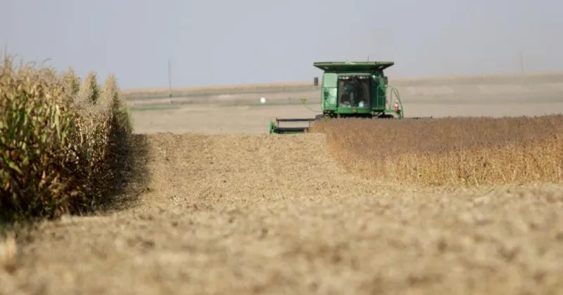 Outsider farm owners are an issue in the governor's race. Here's what experts say.