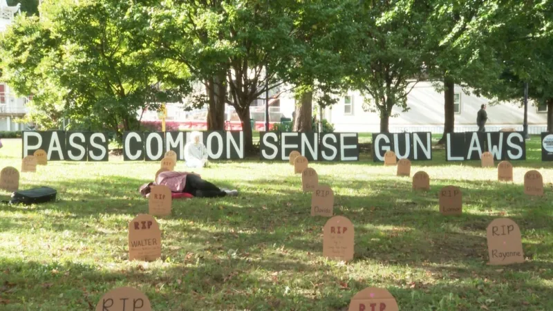 Dubuque group plants 120 tombstones in park to spotlight toll of gun violence