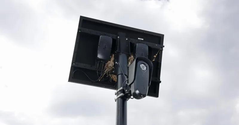 Whiteside County Sheriff's Office deputy placed on leave, use of Flock cameras suspended