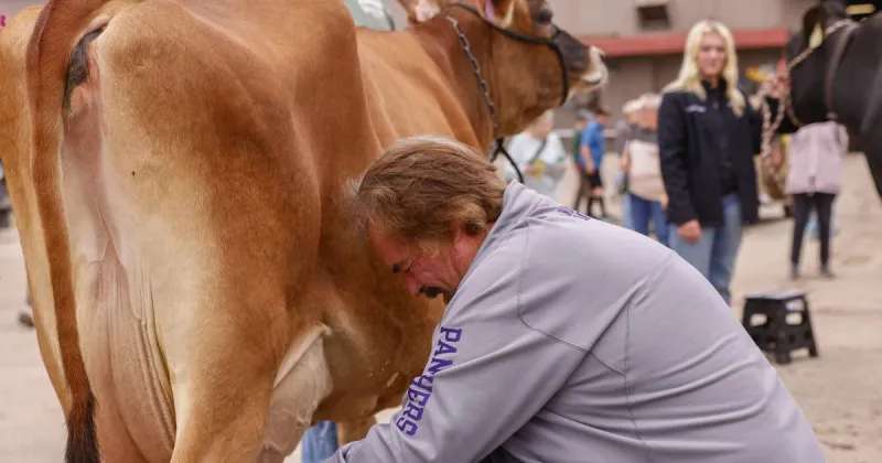 Attendees share talents on first day of National Cattle Congress Fair