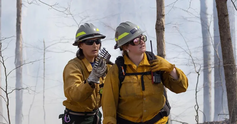 25 years ablaze: SIU's 'Fire Dawgs' inspires land management careers
