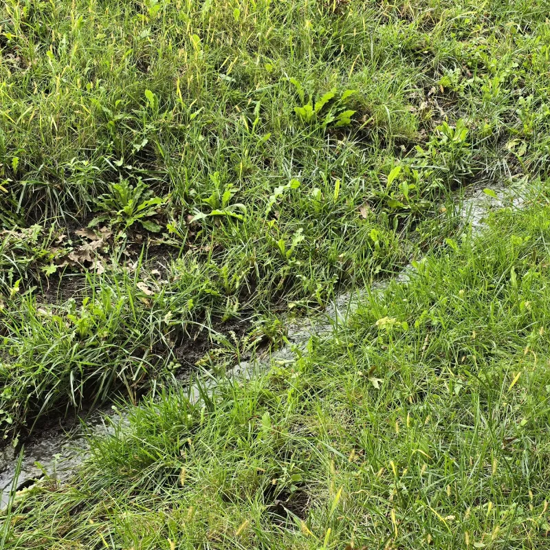 What If WOTUS Definitions Change?