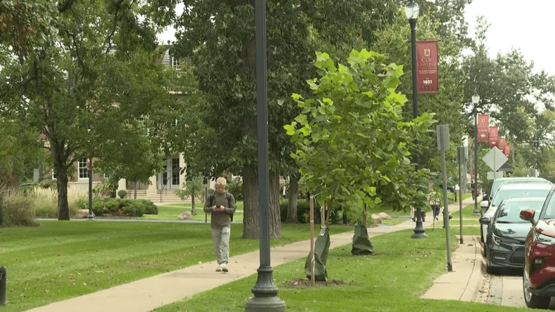 Local resources available to fill out the FAFSA form