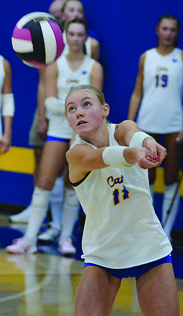 Wildcats remain unbeaten in NCC