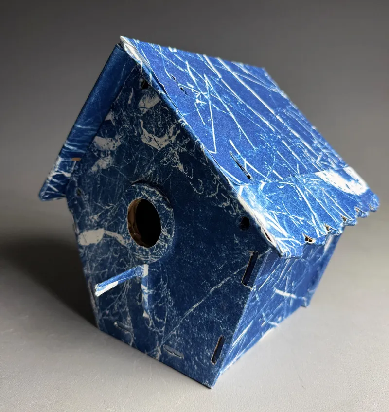 Clarke Students Featured at Figge College Invitational