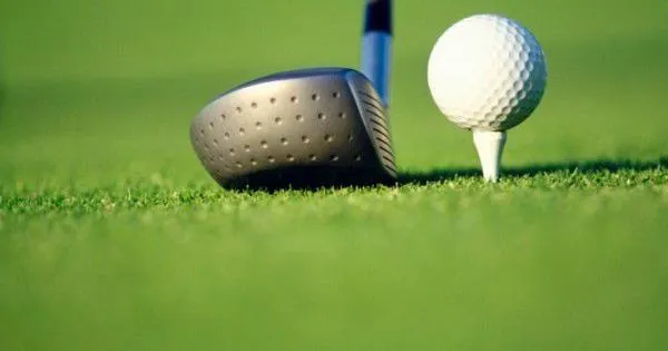 High school golf: Heelan wins MRAC team title, Schettler conference runner-up