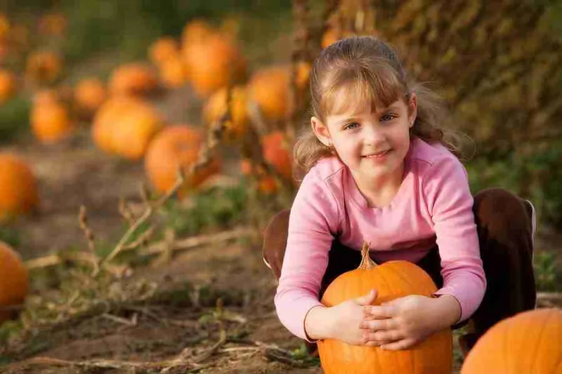 North Iowa Outdoors: Pumpkins and Prairies Fall Fest Scheduled