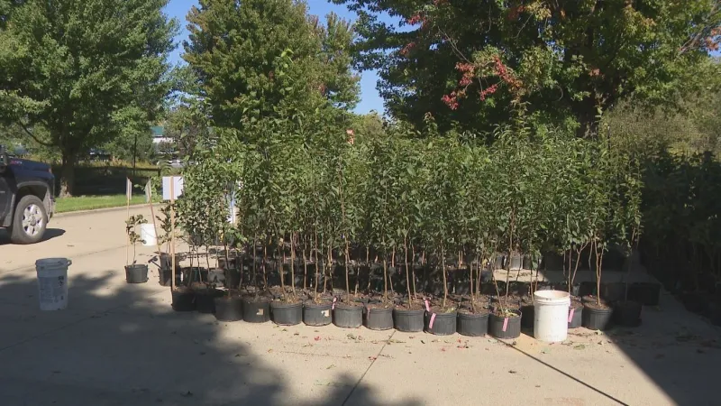 Free tree program gives 2,400 native trees to Linn County children