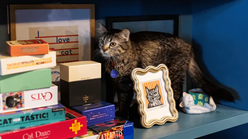 Kitty Corner Social Club moving to larger downtown Iowa City location