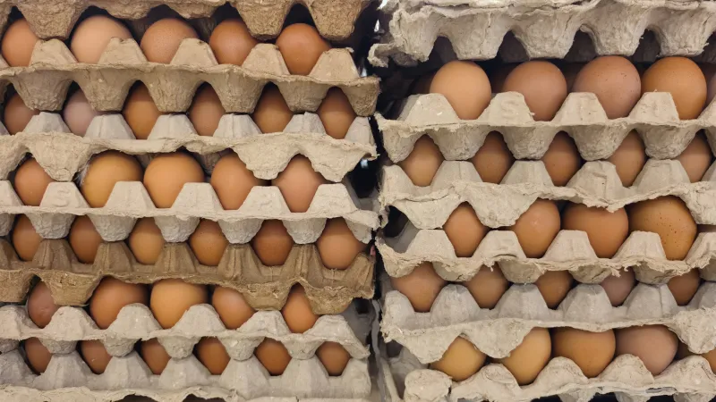 The great Iowa egg heist: alleged price fixing produced $3 billion profit