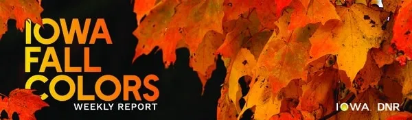 Iowa DNR Weekly Fall Colors Report