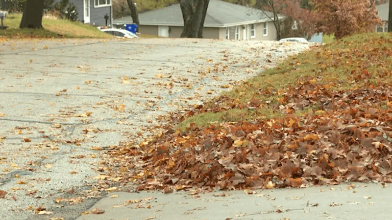 How to make fall leaf clean up easier and eco-friendly