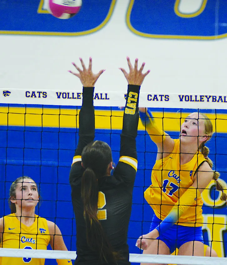 Wildcats clinch NCC volleyball title, will host regional Oct. 20
