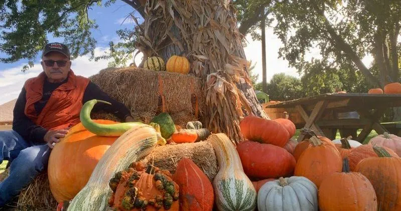 Expert gives tips for picking the perfect pumpkins
