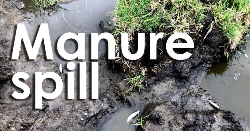 Iowa DNR investigating Cherokee County manure discharge