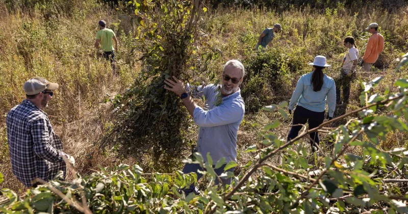Efforts feed zoo animals while maintaining native prairies in Loess Hills