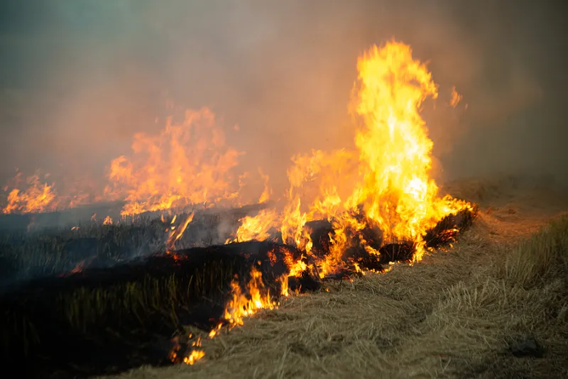 Field Fire Issues Arise During Warm Spell and Harvesting