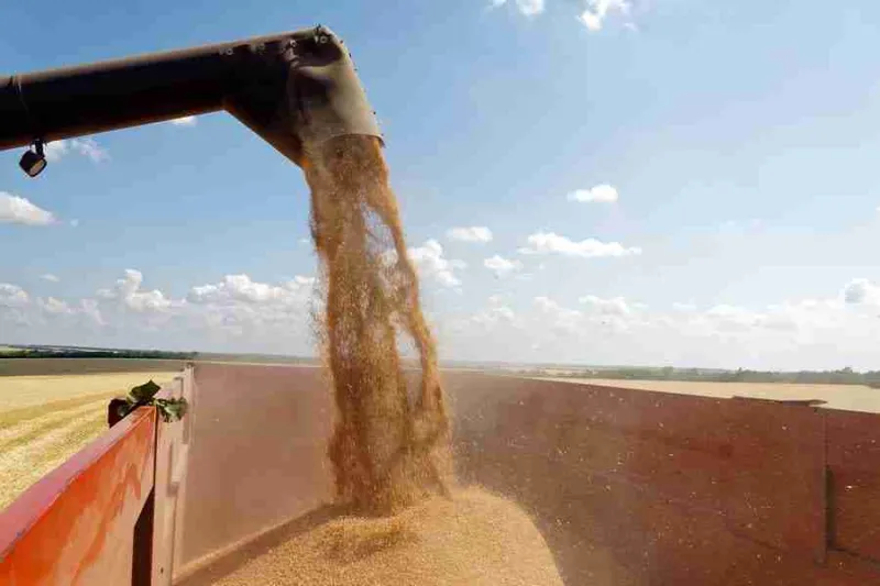 NW Iowa Sees Good Soybean Harvest Progress, Corn Not So Much