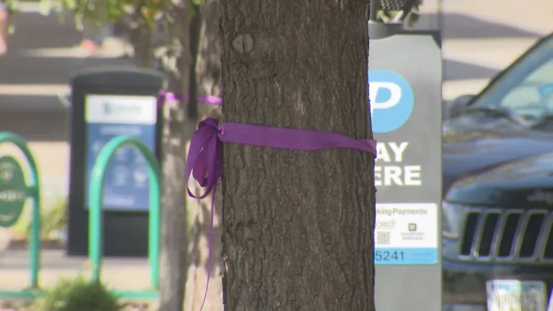 Purple ribbons honor victims and survivors of domestic violence