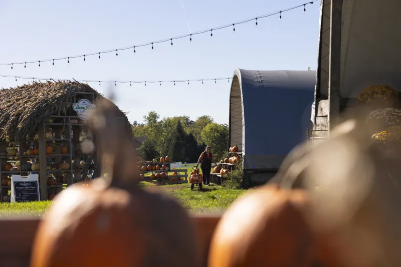 Colony Acres celebrates 100 years embodying the pumpkin spice life
