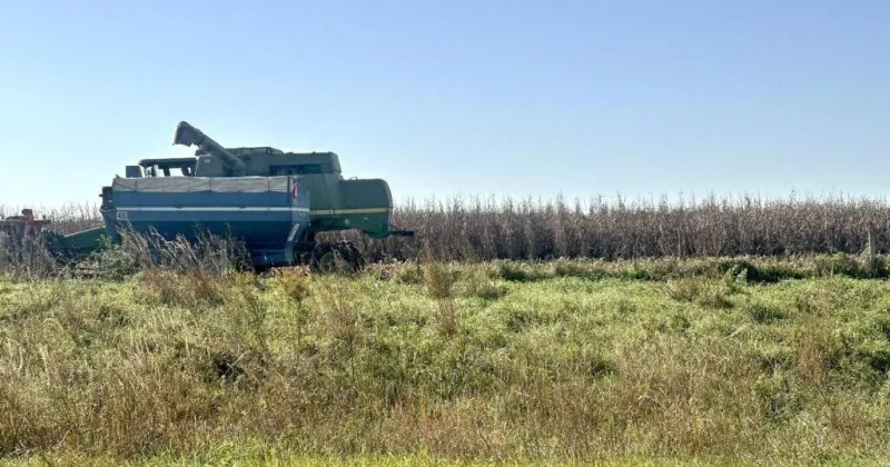 With drier weather, farmers make some progress on harvest