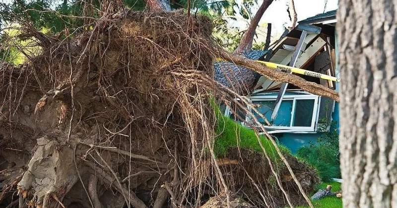 How insurance claims work for storm-damaged properties