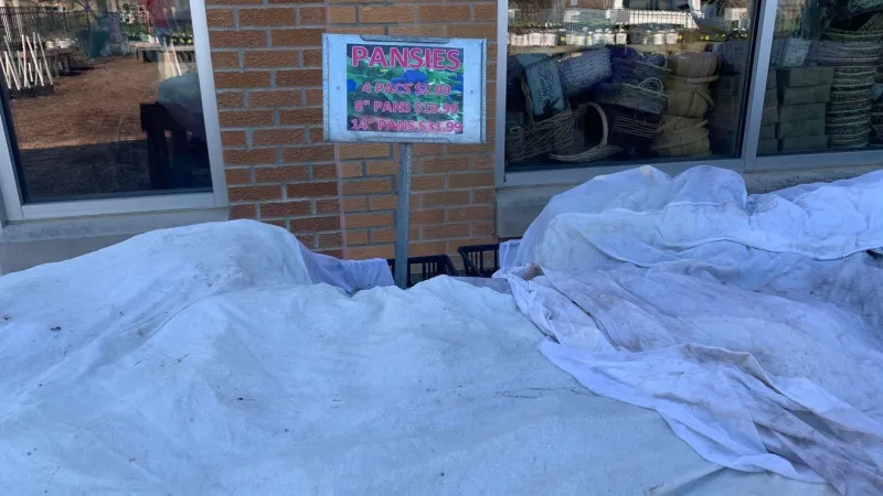 Preparing your garden for the first freeze of the year