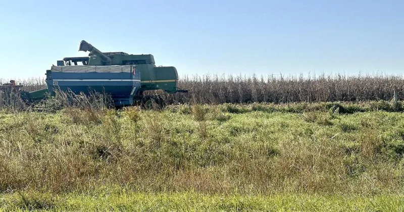 With drier weather, farmers make some progress on harvest