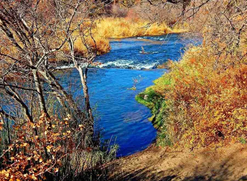Autumn is Showing Its True Colors