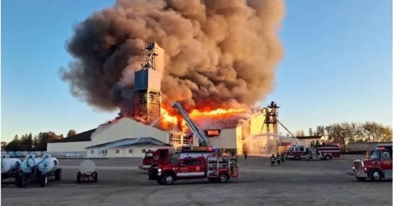 Firefighters battle huge blaze at Osage grain elevator