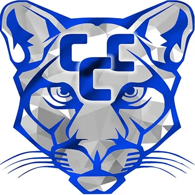CAM Cougars Volleyball Advances to Second Round of Regional Tournament