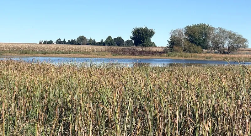 Pond project proposed at Sheridan Meadows