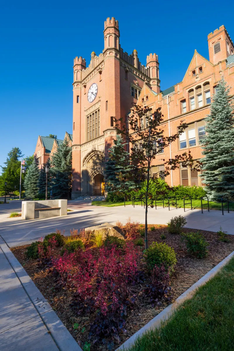 UPDATED: U of I names interim provost, after receiving salary flexibility for the hire