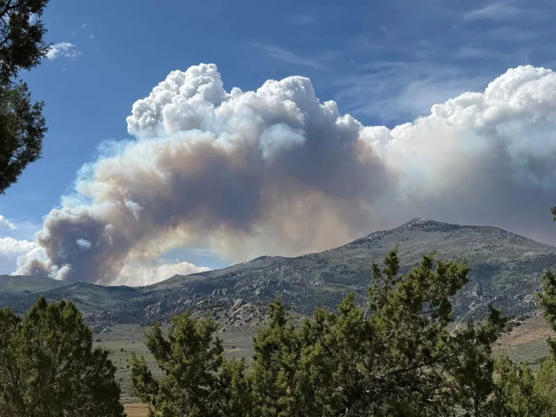 Fire South of Burley Burns Over 200 Acres