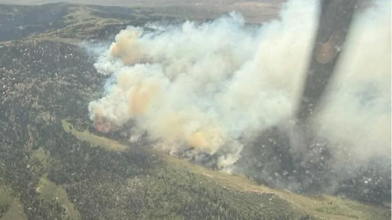 Summit Creek Fire started by lightning grows beyond 1,200 acres in Cassia County