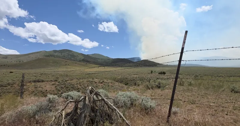 Summit Creek Fire burns over 1,200 acres in Sawtooth National Forest near Oakley